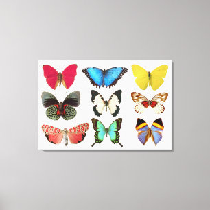 Butterflies Canvas Print Leinwanddruck