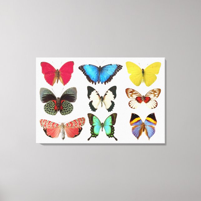 Butterflies Canvas Print Leinwanddruck (Vorderseite)