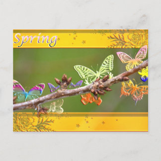 Butterflies in Spring Postkarte