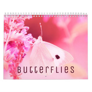 Butterflies-Kalender 2022 Kalender
