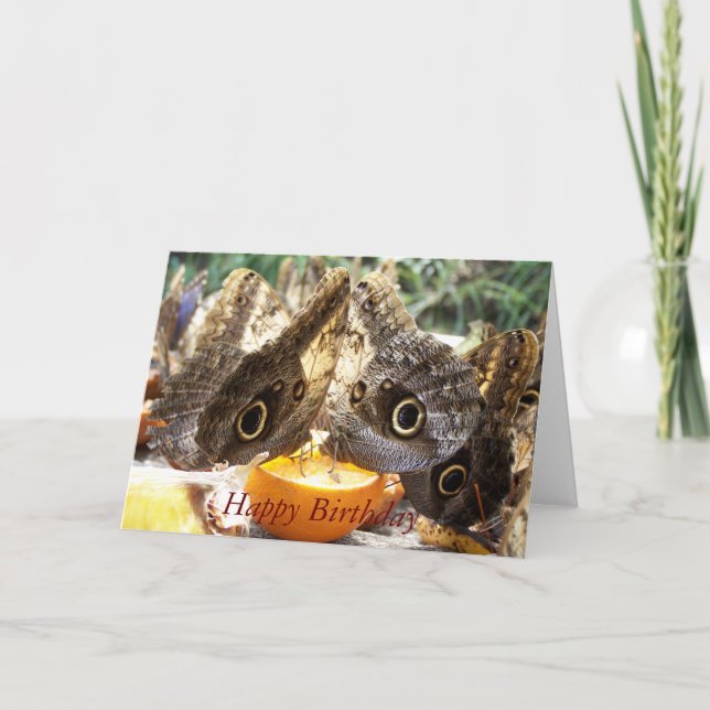 BUTTERFLIES KARTE (Vorderseite)