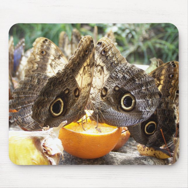 BUTTERFLIES MOUSEPAD (Vorne)