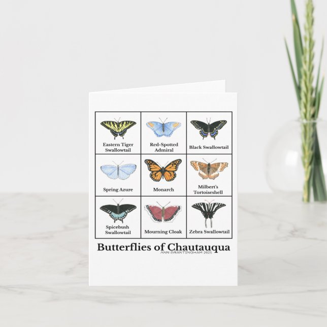 Butterflies of Chautauqua  Karte (Vorderseite)