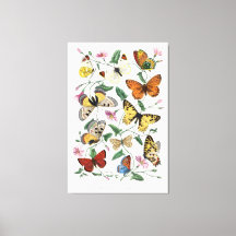 Butterflies Wall Art Canvas Vintage Style Nature 