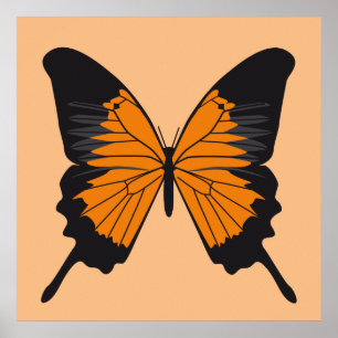 butterfly1 poster