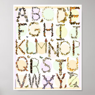 Butterfly Alphabet Poster - Kinder ABC