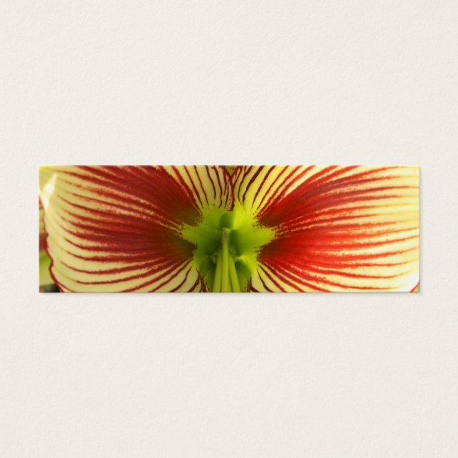 Butterfly Amaryllis Lesezeichen (Vorderseite)