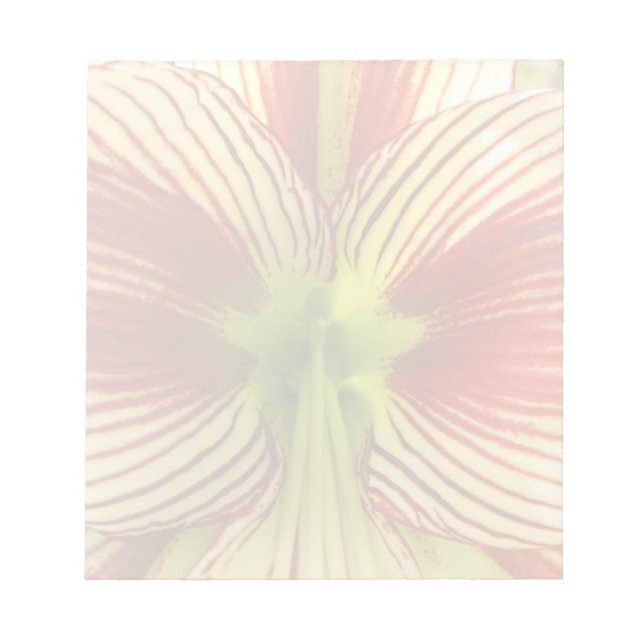 Butterfly Amaryllis Notizblock (Vorderseite)