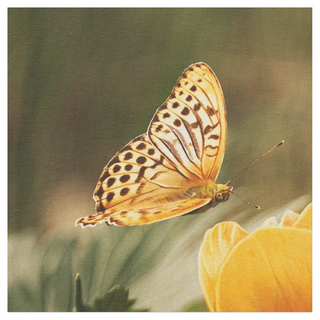 Butterfly Art 32 Optionen Benutzerdefiniertes Gewe Stoff (Nahaufnahme)