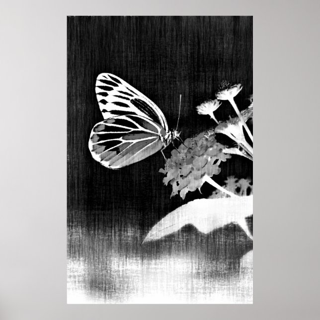 Butterfly Art | Schwarz und Weiß Poster (Vorne)