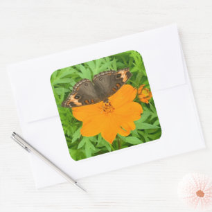Butterfly-Aufkleber Quadratischer Aufkleber
