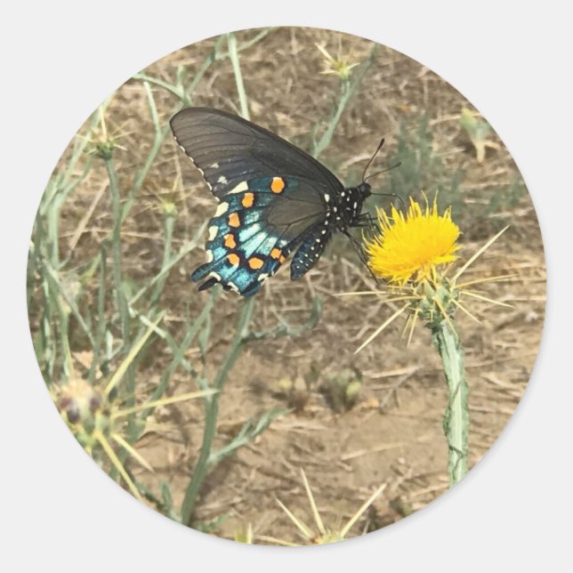 Butterfly-Aufkleber Runder Aufkleber (Vorderseite)