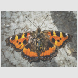 Butterfly Birthday Seidenpapier