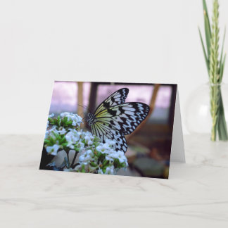 Butterfly-Blank-Karte Karte