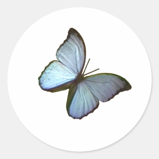 Butterfly Blue 45 deg Freiburg Deutschland Gibney Runder Aufkleber (Vorderseite)
