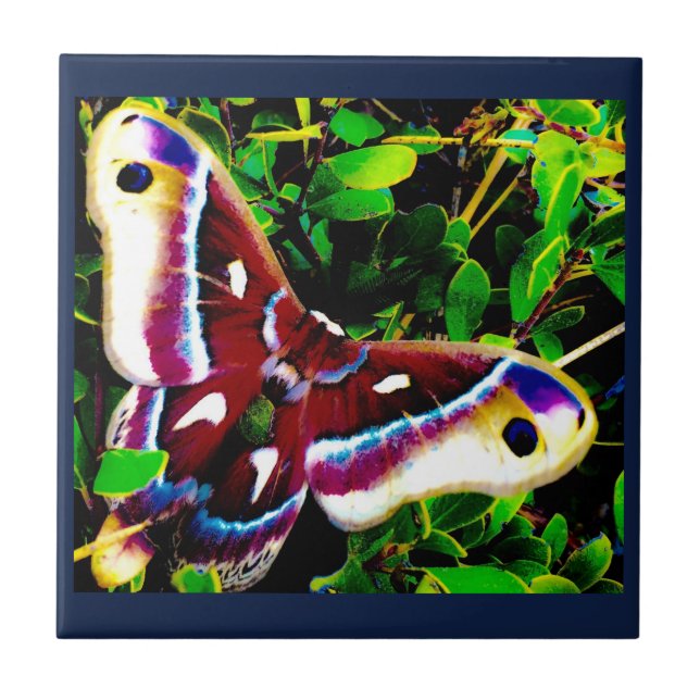 Butterfly Blues Tiles Fliese (Vorderseite)