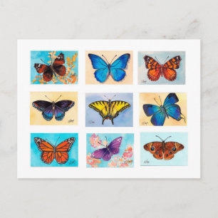 Butterfly Bonanza Postcard Postkarte