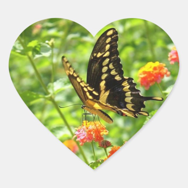 Butterfly Bright Heart Shaped Sticker (Vorderseite)