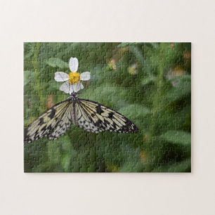 Butterfly Butterflies Naturfotografie Garten Puzzle