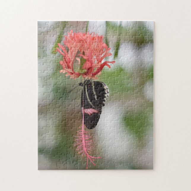 Butterfly Butterflies Naturfotografie Garten Puzzle (Vertikal)