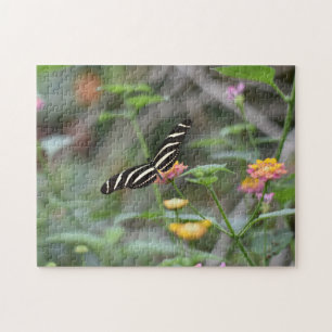 Butterfly Butterflies Naturfotografie Garten Puzzle