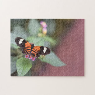 Butterfly Butterflies Naturfotografie Garten Puzzle