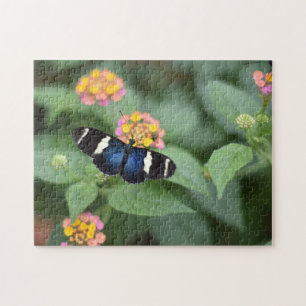 Butterfly Butterflies Naturfotografie Garten Puzzle