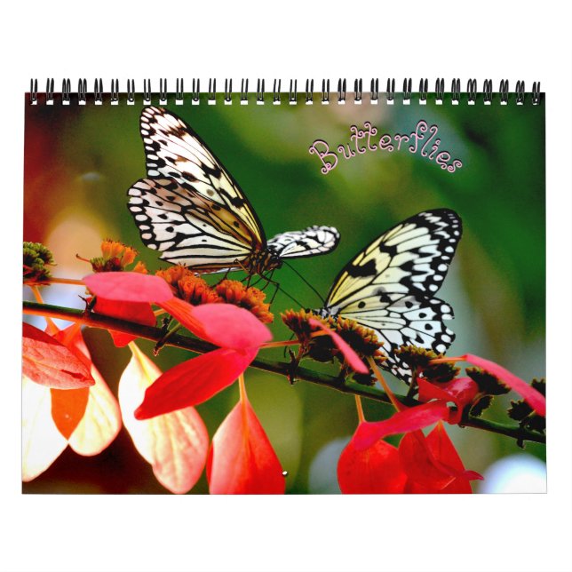 Butterfly Calendar Kalender (Titelbild)