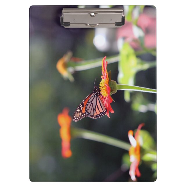 Butterfly-Clipboard Klemmbrett (Vorderseite)