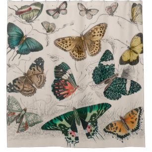 Butterfly Collection Antike Schmetterlinge Duschvorhang