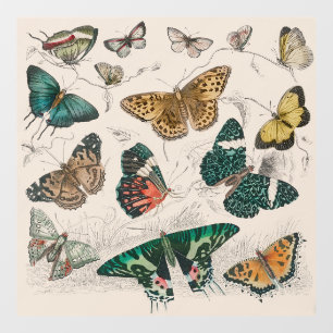Butterfly Collection Antike Schmetterlinge Fensteraufkleber