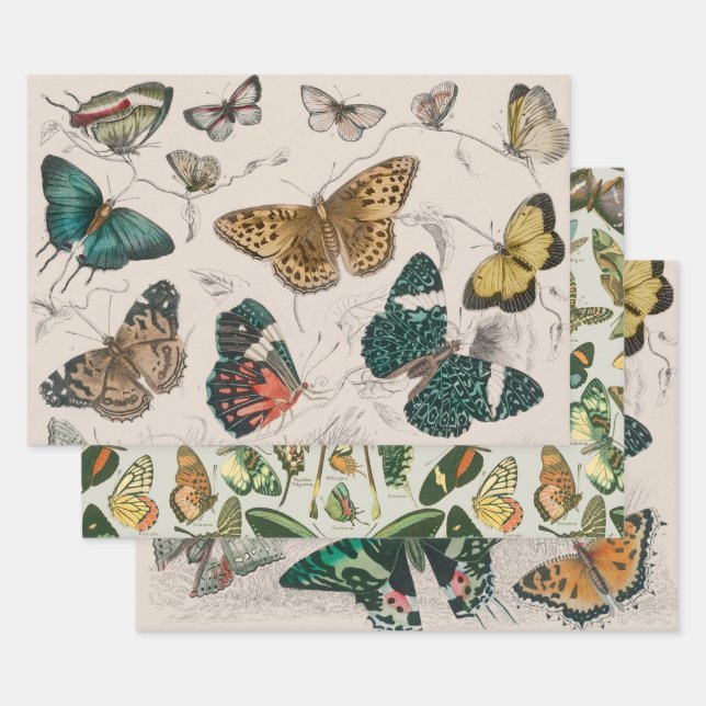 Butterfly Collection Antike Schmetterlinge Geschenkpapier Set (Set)