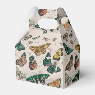 Butterfly Collection Antike Schmetterlinge Geschenkschachtel