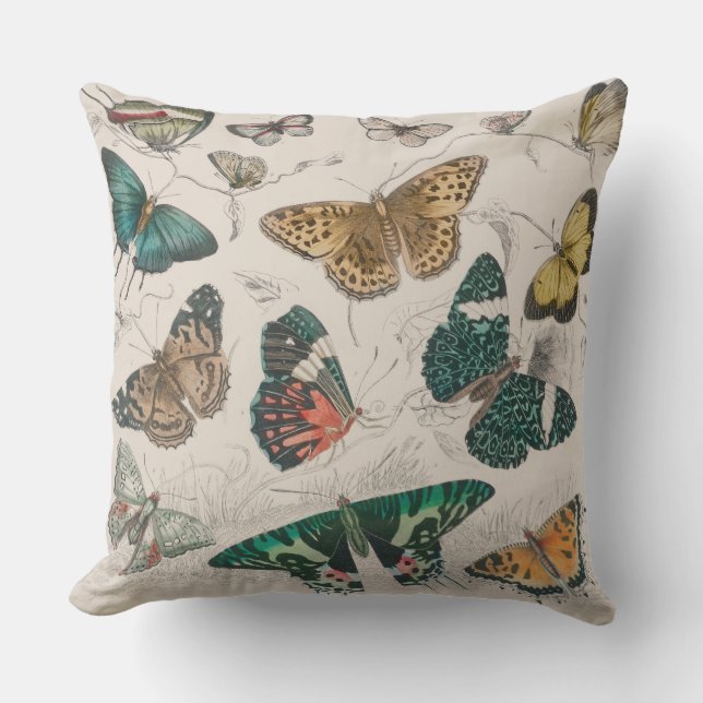 Butterfly Collection Antike Schmetterlinge Kissen (Vorderseite)