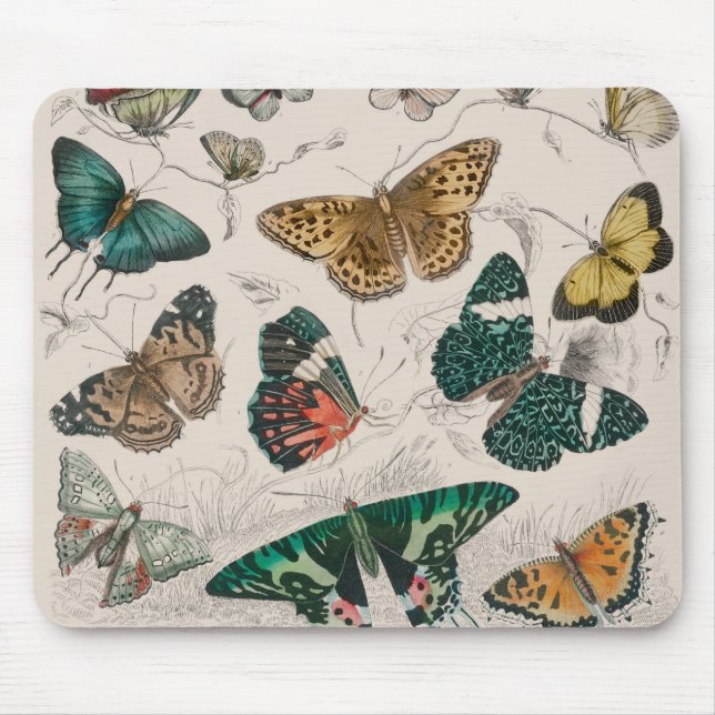 Butterfly Collection Antike Schmetterlinge Mousepad (Vorne)