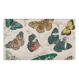 Butterfly Collection Antike Schmetterlinge Namenschild