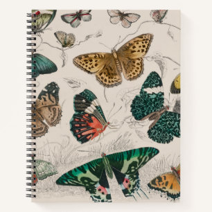 Butterfly Collection Antike Schmetterlinge Notizbuch