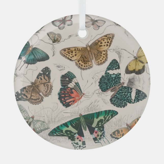 Butterfly Collection Antike Schmetterlinge Ornament Aus Glas (Vorderseite)
