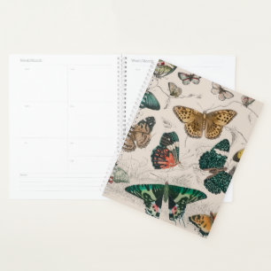 Butterfly Collection Antike Schmetterlinge Planer