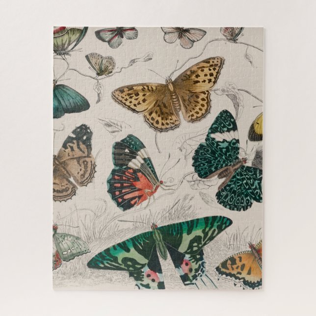 Butterfly Collection Antike Schmetterlinge Puzzle (Vertikal)