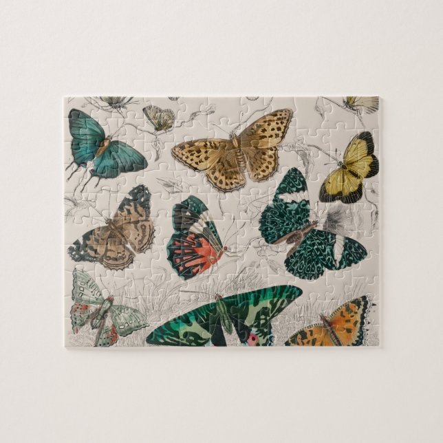 Butterfly Collection Antike Schmetterlinge Puzzle (Horizontal)