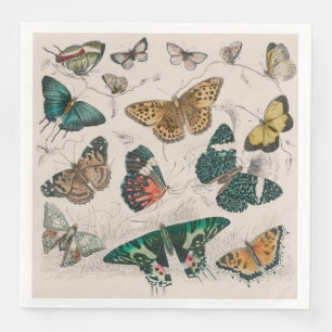 Butterfly Collection Antike Schmetterlinge Serviette