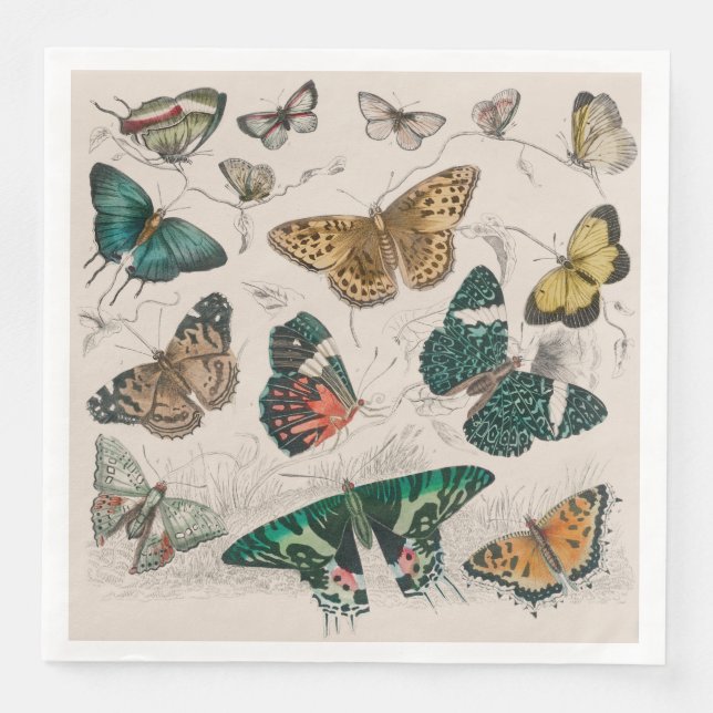 Butterfly Collection Antike Schmetterlinge Serviette (Vorderseite)