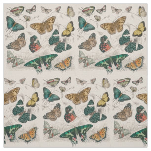 Butterfly Collection Antike Schmetterlinge Stoff