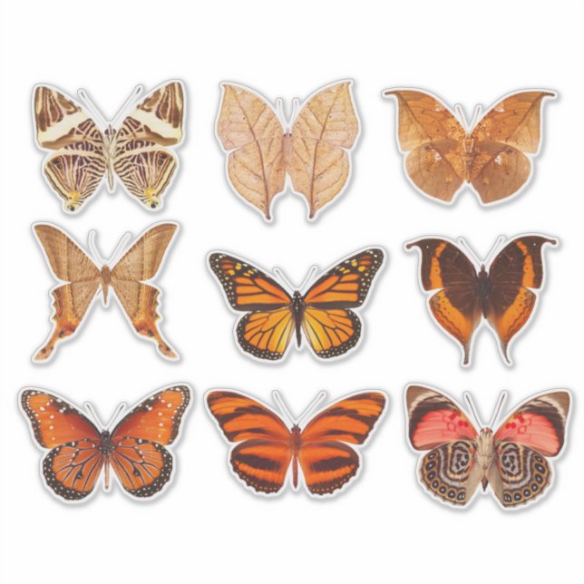 Butterfly Collection Gold Orange 14" Vinyl Sticker (Vorderseite)