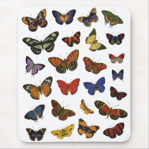 Butterfly Collection Mousepad