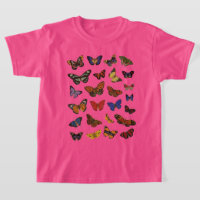 Butterfly Collection