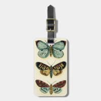 Butterfly Collection von Chariklia Zarris
