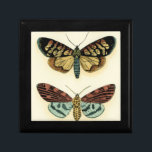 Butterfly Collection von Chariklia Zarris Geschenkbox<br><div class="desc">Dieses Gemälde von Chariklia Zarris ist ein Traum der Lepidopteristen! Ein erstaunlich detaillierter Druck einer Schmetterlingskollektion,  atemberaubend in der Farbgebung. Holen Sie sich noch heute Ihr Exemplar!</div>
