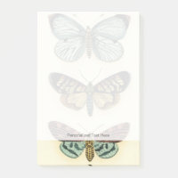 Butterfly Collection von Chariklia Zarris
